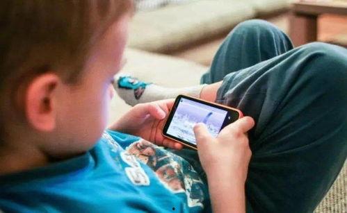 网红诈骗爆料案例最新,揭秘近期热门案例，警惕网络陷阱